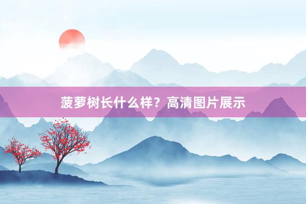 菠萝树长什么样？高清图片展示