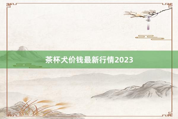 茶杯犬价钱最新行情2023