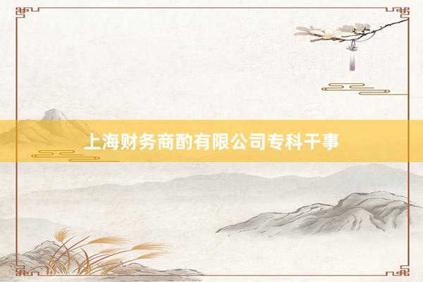 上海财务商酌有限公司专科干事