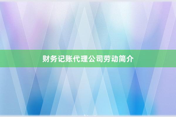 财务记账代理公司劳动简介